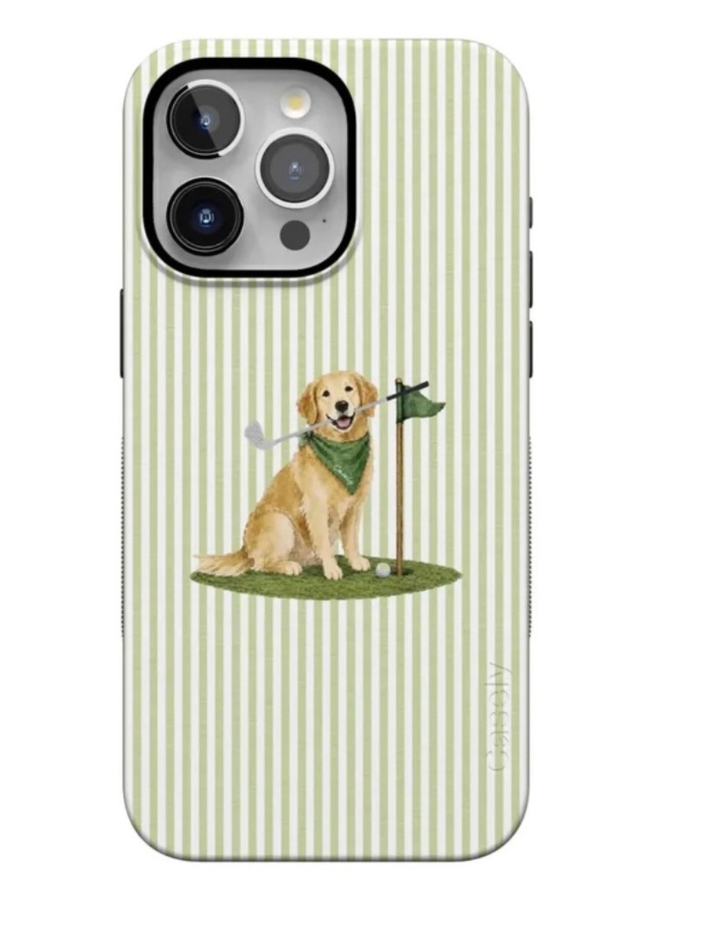 Casely iPhone 15 Pro Max Case Golden Retriever on The Green Striped Mag Safe NEW